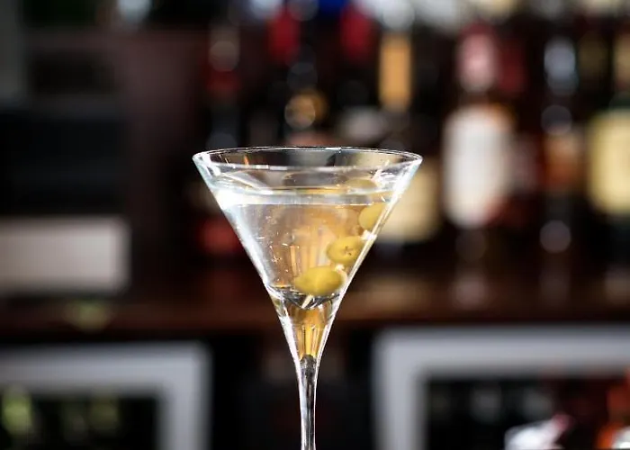 Otel Camden Court Dublin